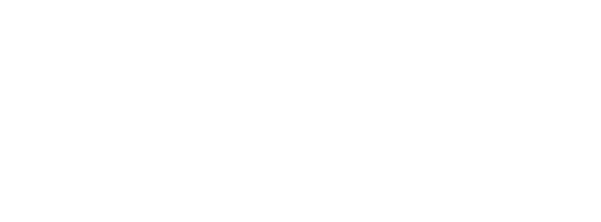 logo IMA Italia blanc